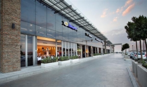 New centre 'steals' the Bryanston show