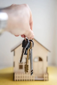 Property trends
