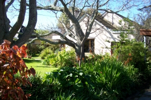 Demand In Bergvliet/Meadowridge Now Outstrips Supply  