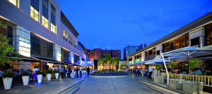 The Firs Rosebank